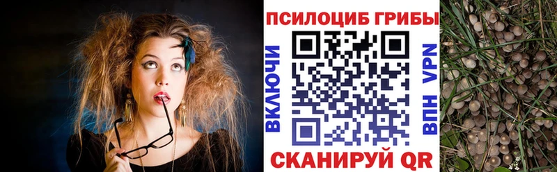 кракен ссылки  Еманжелинск  Псилоцибиновые грибы GOLDEN TEACHER 